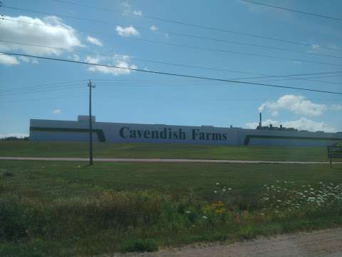 Cavendish Agri Services Limited